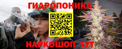 прущий лед Будённовск