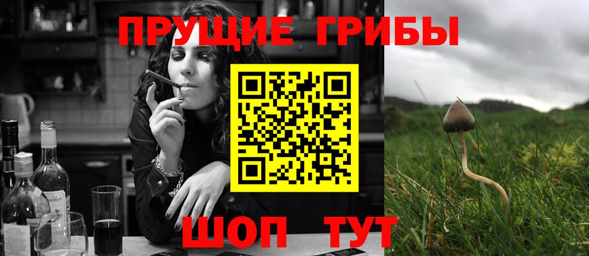 Янаул  Псилоцибиновые грибы GOLDEN TEACHER  Вход с VPN  Псилоцибиновые грибы прущие грибы 