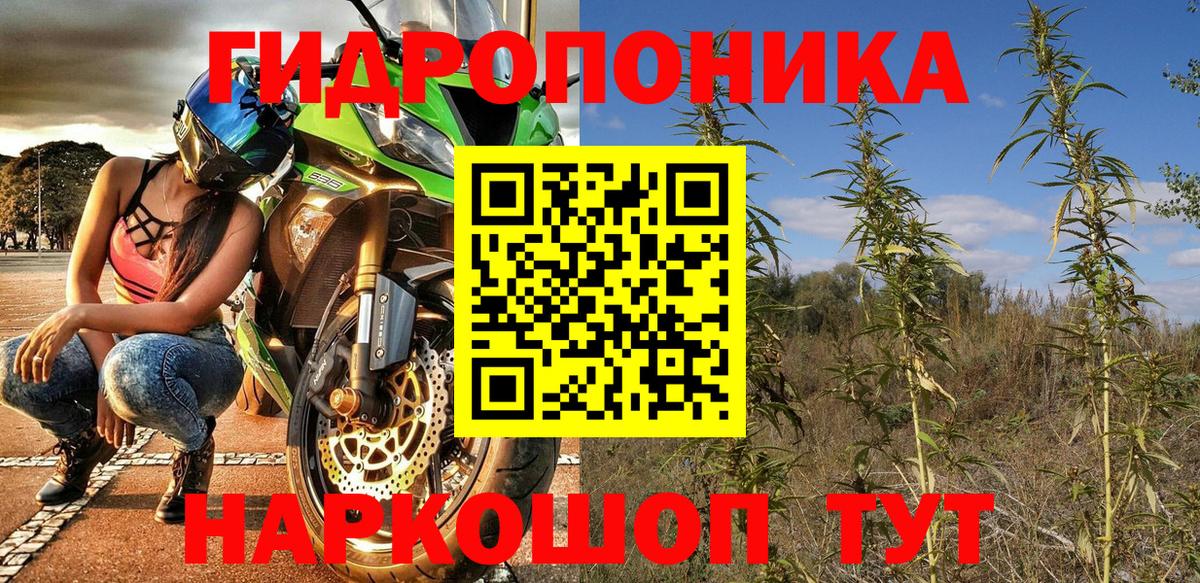 Каннабис планчик  Марихуана Bruce Banner  Янаул  Вход с VPN 
